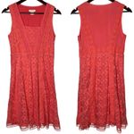 Sundance Lace Dress Photo 1