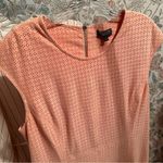 The Limited  Coral Eyelet Fit & Flare Dress Size L NWT Photo 10