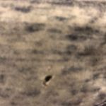 Michael Lauren  3/4 Sleeve Grey Washed Shirt Photo 6