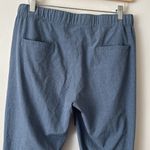 ALBION FIT Albion Destination Joggers in Chambray M Photo 5