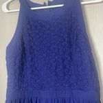 Miami  large NWT blue lace detail dress Francesca’s Photo 2