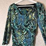 David Meister Midi Blue Green Yellow Snake Print Cowl Neck Long Sleeve Dress 4 Photo 2