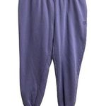 Champion Womens Joggers Sweatpants Size Large Blue Purple Comfy Lounge Photo 0