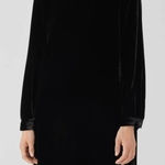 Eileen Fisher  Petite Silk Blend Velvet Crew Neck Dress Photo 0