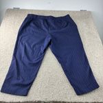 Lane Bryant Lane Bryant The Ashley Modernist Collection Blue Pinstripe Crop Pants Size 28 Photo 5