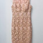 Bisou Bisou  Blush Pink Lace dress sz 8 Photo 0