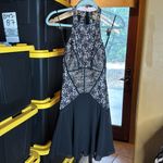 Nicole Miller NWT  Silk Blend Open Back Drop Waist Mini Dress Size 2 Photo 4