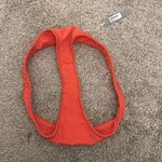 Gooseberry Bikini Bottom Orange Photo 2