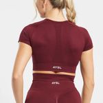 AYBL Empower Seamless Crop Top  Photo 1