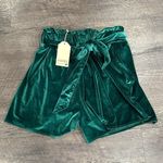 JODIFL Medium Emerald Green Velvet Belted Paper Bag Short Photo 2