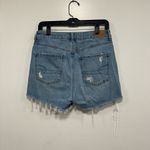 American Eagle Outfitters Light Blue mom jeans high rise Distressed Jean Shorts Photo 6