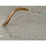 Laura Ashley Eyeglasses Frames ONLY Sally Harvest 50-18-130 Gold full rim vtg Photo 8