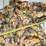 Free People We The Free Cool Meadow Midnight Combo Long Balloon Sleeves Boho Slouchy Top L Photo 5