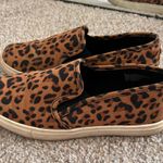 EXPRESS cheetah print sneakers Photo 0