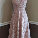 Anthropologie Champagne & Strawberry Blush Pink Lace Romantic Party Dress Photo 0
