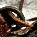 Susan Gail Brown Leather Drawstring Bucket Bag Shimmer Bronze Snakeskin Vintage Photo 7