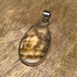 Sterling Silver Seashell 925  Pendant Photo 1
