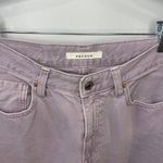 PacSun  Eco Purple High Waisted Flare Denim Jeans Dusty Lavender Size 27 Photo 3