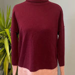 Max Studio  100% 2-ply cashmere colorblock turtleneck sweater Photo 0