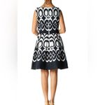 The Limited  A line Pleated Drop Waist Dress With Pockets Photo 10