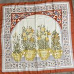 Loewe Botanical Silk Scarf Photo 0