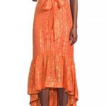 Ramy Brook Kenza Gown $695 Scintillating Hi Low Formal Flowy brand new w tags 00 Photo 7
