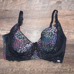 Jessica Simpson  Floral 36C Bra Photo 0