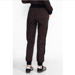 Johnny Was Bee Active Cheetah Print Zip Hoodie + Relaxed Tape Jogger Pants Set S Photo 6