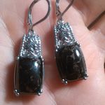 Matrix Silver Shungite Platinum Over Copper Lever Back Earrings Photo 6