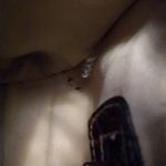 Rattan/faux alligator purse Tan Photo 7