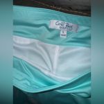Coral Bay  Golf- NWT- women’s large Golf skirt with pant lining- blue Photo 2