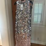 ZARA NWT  Silver and Pink Knit Sequin Midi Dress Photo 1