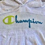 Champion Reverse Weave Heather Gray Spellout Hoodie Small Photo 1