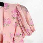 Love Shack Fancy x Target Fleur Ruffle Sheer Short Sleeves Lined Dress, Size 2 Photo 4