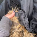 Madden Girl Coat Photo 7