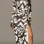 Anthropologie NWT Farm Rio  Long-Sleeve Mock-Neck Mesh Slim Midi Dress XXS Photo 0