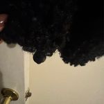 Shaggy Faux Fur Fleece Black Size M Photo 1