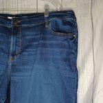 Lane Bryant  Dark Blue Denim Shorts Photo 1