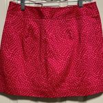 Ann Taylor NWT  “Tennis” Skirt Photo 0