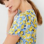 Ann Taylor Lemon Blossom Bobble Petal Sleeve Pure Linen Tee, Sz M Photo 2
