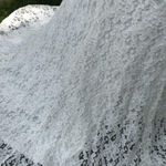 David's Bridal Glina David’s bridal floral lace beaded strapless wedding dress style s8551 sz 2 Photo 6