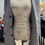 Venus  gray coat Photo 7