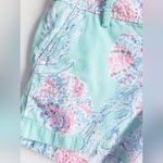 Lilly Pulitzer Callahan Shorts In Minty Fresh Photo 3