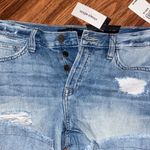 Sanctuary  short Photo 4