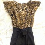 EXPRESS Black & Tan Leopard Print Ruffle Front Cocktail Party Dress Size 8 Med Photo 5