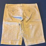 Caslon  Women's Khaki Bermuda Shorts / DG70 Photo 3