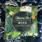 Blooming Jelly NWOT!  Women Sexy High Waisted Bikini Photo 7