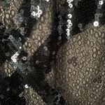 Camille La Vie Black And Nude Gown Photo 2