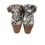 Seven Dials  Western Pointed Toe Snakeskin Booties Heel Buckle Faux Suede Size 10 Photo 2
