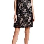 Max Studio  Black Lace Overlay Sleeveless Shift Dress XS Photo 0